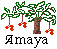 Amaya